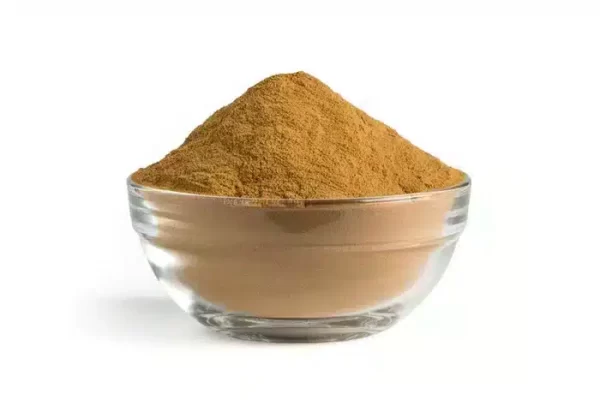 reishi powder